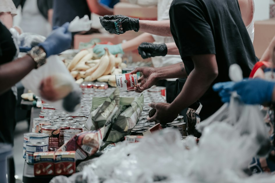 The Importance of Volunteer Work